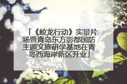 《蛟龙行动》实景片场暨青岛东方影都国防主题文旅研学基地在青岛西海岸新区开业