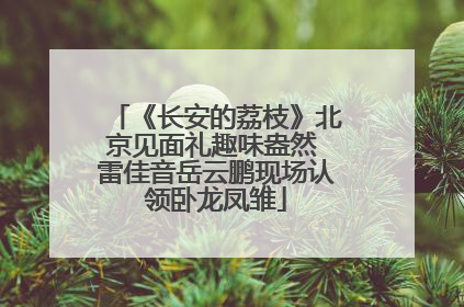《长安的荔枝》北京见面礼趣味盎然 雷佳音岳云鹏现场认领卧龙凤雏