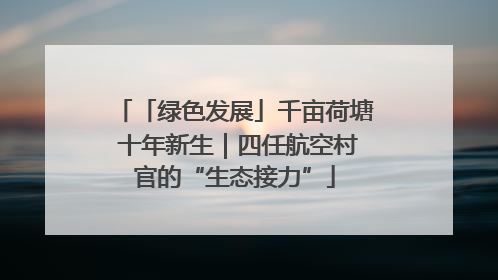 「绿色发展」千亩荷塘 十年新生｜四任航空村官的“生态接力”