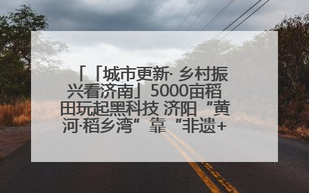 「城市更新· 乡村振兴看济南」5000亩稻田玩起黑科技 济阳“黄河·稻乡湾”靠“非遗+露营”火出圈