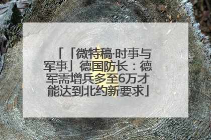 「微特稿·时事与军事」德国防长：德军需增兵多至6万才能达到北约新要求