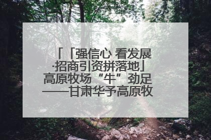 「强信心 看发展·招商引资拼落地」高原牧场“牛”劲足——甘肃华予高原牧场高标准奶牛肉牛养殖项目一线见闻
