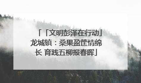 「文明彭泽在行动」龙城镇：桑果盈筐情绵长 育践五柳报春晖