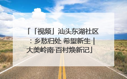 「视频」汕头东湖社区：乡愁归处 希望新生｜大美岭南·百村焕新记