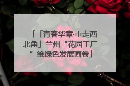 「青春华章·重走西北角」兰州“花园工厂”绘绿色发展画卷