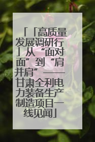 「高质量发展调研行」从“面对面”到“肩并肩”——甘肃全利电力装备生产制造项目一线见闻