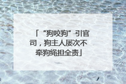 “狗咬狗”引官司，狗主人屡次不牵狗绳担全责