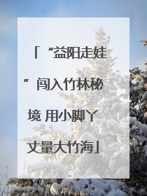 “益阳走娃”闯入竹林秘境 用小脚丫丈量大竹海