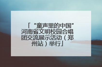“童声里的中国”河南省文明校园合唱团交流展示活动（郑州站）举行