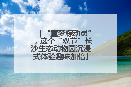 “童梦粽动员”，这个“双节”长沙生态动物园沉浸式体验趣味加倍