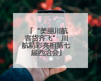“美丽川航 客货齐飞” 川航精彩亮相第七届西洽会