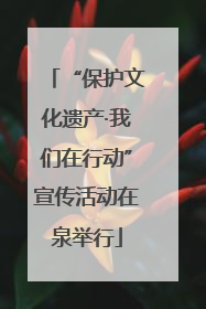 “保护文化遗产·我们在行动”宣传活动在泉举行