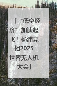“低空经济”加速起飞！杨浦亮相2025世界无人机大会