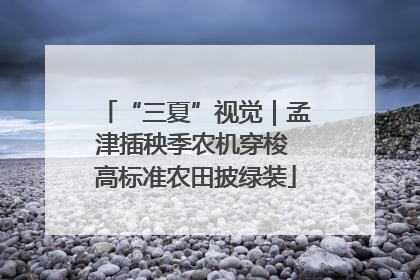 “三夏”视觉｜孟津插秧季农机穿梭 高标准农田披绿装