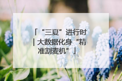 “三夏”进行时｜大数据化身“精准割麦机”