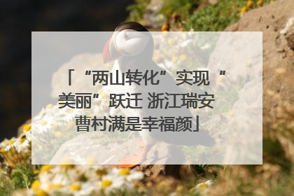 “两山转化”实现“美丽”跃迁 浙江瑞安曹村满是幸福颜