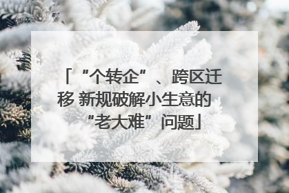 “个转企”、跨区迁移 新规破解小生意的“老大难”问题