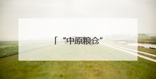 “中原粮仓”河南麦收过半