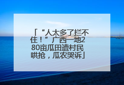 “人太多了拦不住！”广西一地280亩瓜田遭村民哄抢，瓜农哭诉