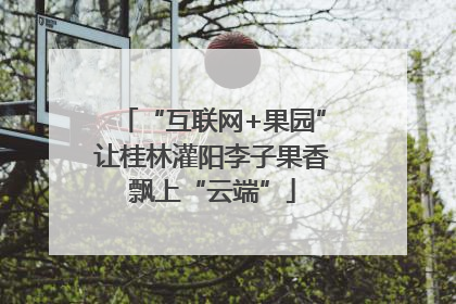 “互联网+果园”让桂林灌阳李子果香飘上“云端”
