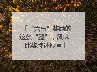 “六马”奖励的这条“腿”，风味比奖牌还厚重