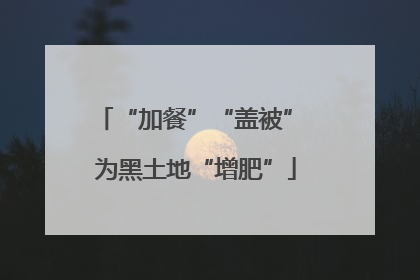 “加餐”“盖被” 为黑土地“增肥”
