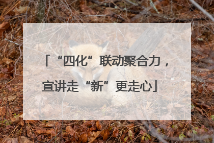 “四化”联动聚合力，宣讲走“新”更走心