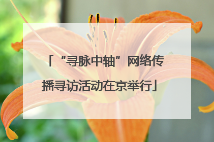 “寻脉中轴”网络传播寻访活动在京举行