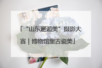 “山东邂逅美”摄影大赛｜博物馆里古瓷美