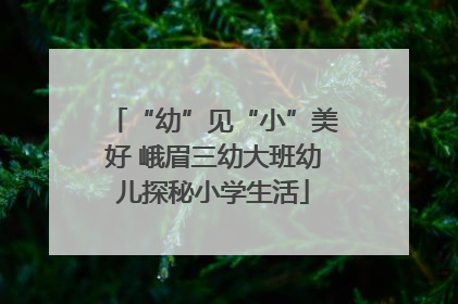 “幼”见“小”美好 峨眉三幼大班幼儿探秘小学生活