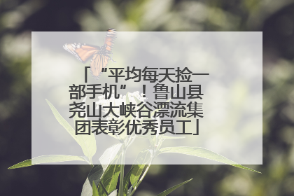 “平均每天捡一部手机”！鲁山县尧山大峡谷漂流集团表彰优秀员工
