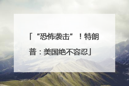“恐怖袭击”！特朗普：美国绝不容忍