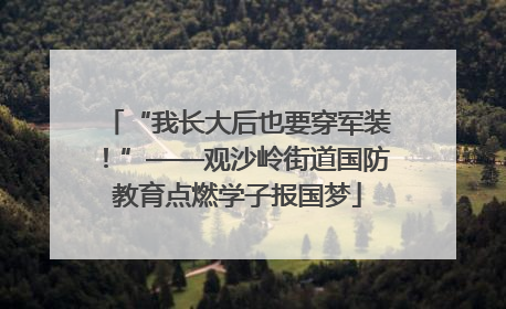 “我长大后也要穿军装！”——观沙岭街道国防教育点燃学子报国梦