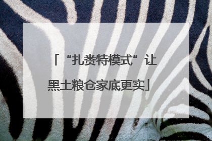 “扎赉特模式”让黑土粮仓家底更实