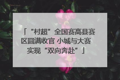 “村超”全国赛高县赛区圆满收官 小城与大赛实现“双向奔赴”