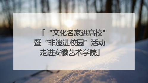 “文化名家进高校”暨“非遗进校园”活动走进安徽艺术学院