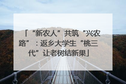 “新农人”共筑“兴农路”：返乡大学生“桃三代”让老树结新果