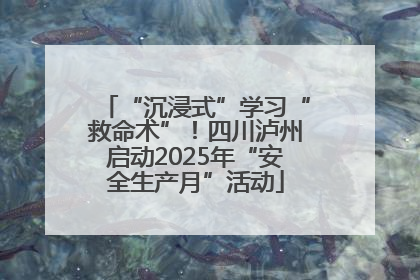 “沉浸式”学习“救命术”！四川泸州启动2025年“安全生产月”活动