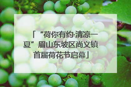 “荷你有约·清凉一夏”眉山东坡区尚义镇首届荷花节启幕