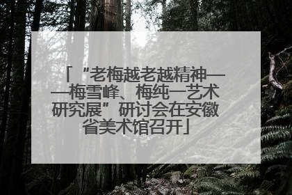 “老梅越老越精神——梅雪峰、梅纯一艺术研究展”研讨会在安徽省美术馆召开