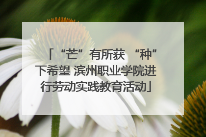 “芒”有所获 “种”下希望 滨州职业学院进行劳动实践教育活动