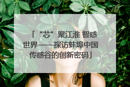 “芯”聚江淮 智感世界——探访蚌埠中国传感谷的创新密码