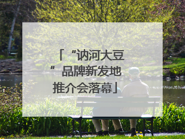 “讷河大豆”品牌新发地推介会落幕