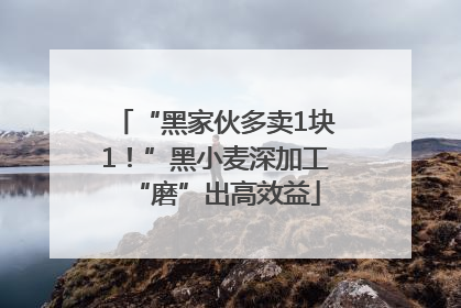 “黑家伙多卖1块1！”黑小麦深加工“磨”出高效益