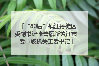 “80后”镇江丹徒区委副书记张蕾履新镇江市委市级机关工委书记