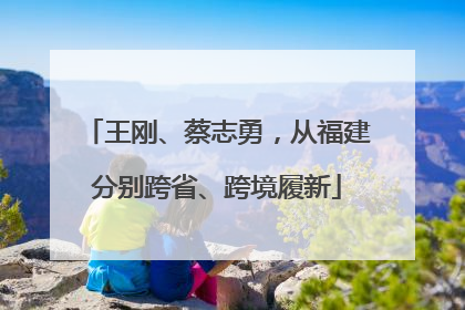 王刚、蔡志勇，从福建分别跨省、跨境履新