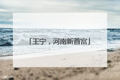 王宁，河南新首富