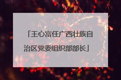 王心富任广西壮族自治区党委组织部部长