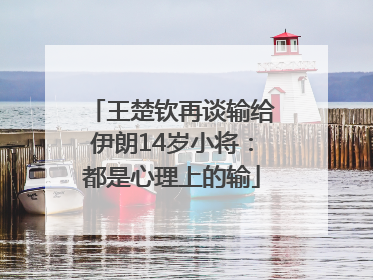 王楚钦再谈输给伊朗14岁小将：都是心理上的输