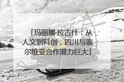玛丽娜·拉古什：从人文到科创，四川与塞尔维亚合作潜力巨大